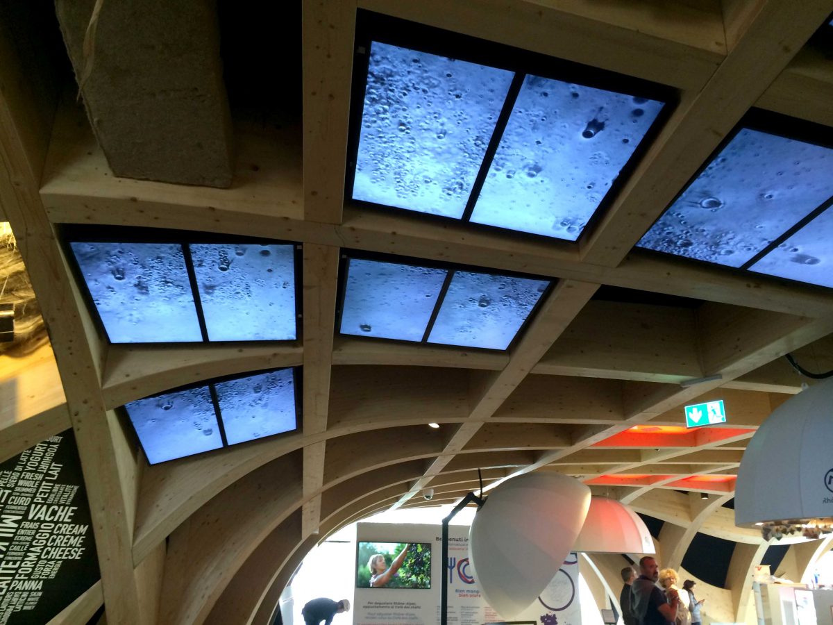 L’arche de lait, une installation audiovisuelle